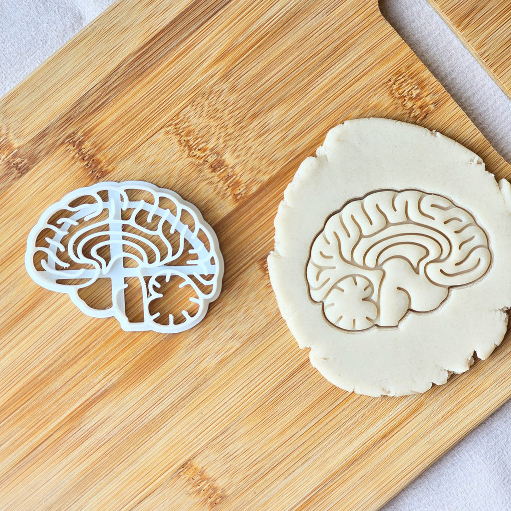 Anatomical Brain Cookie Cutter: Baking, Fondant & Clay Cutters