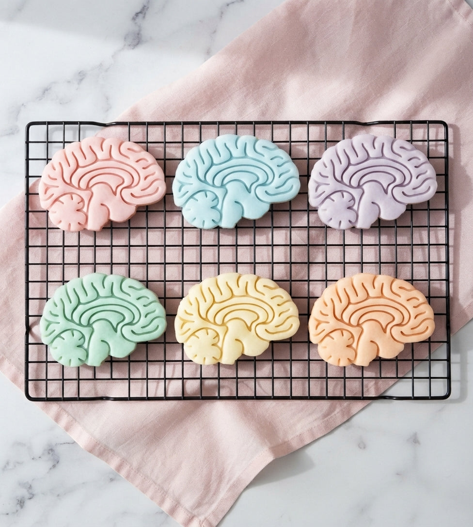 Anatomical Brain Cookie Cutter: Baking, Fondant & Clay Cutters