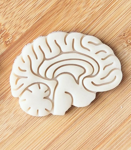 Anatomical Brain Cookie Cutter: Baking, Fondant & Clay Cutters
